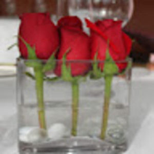 Meet your Posher, Vidya